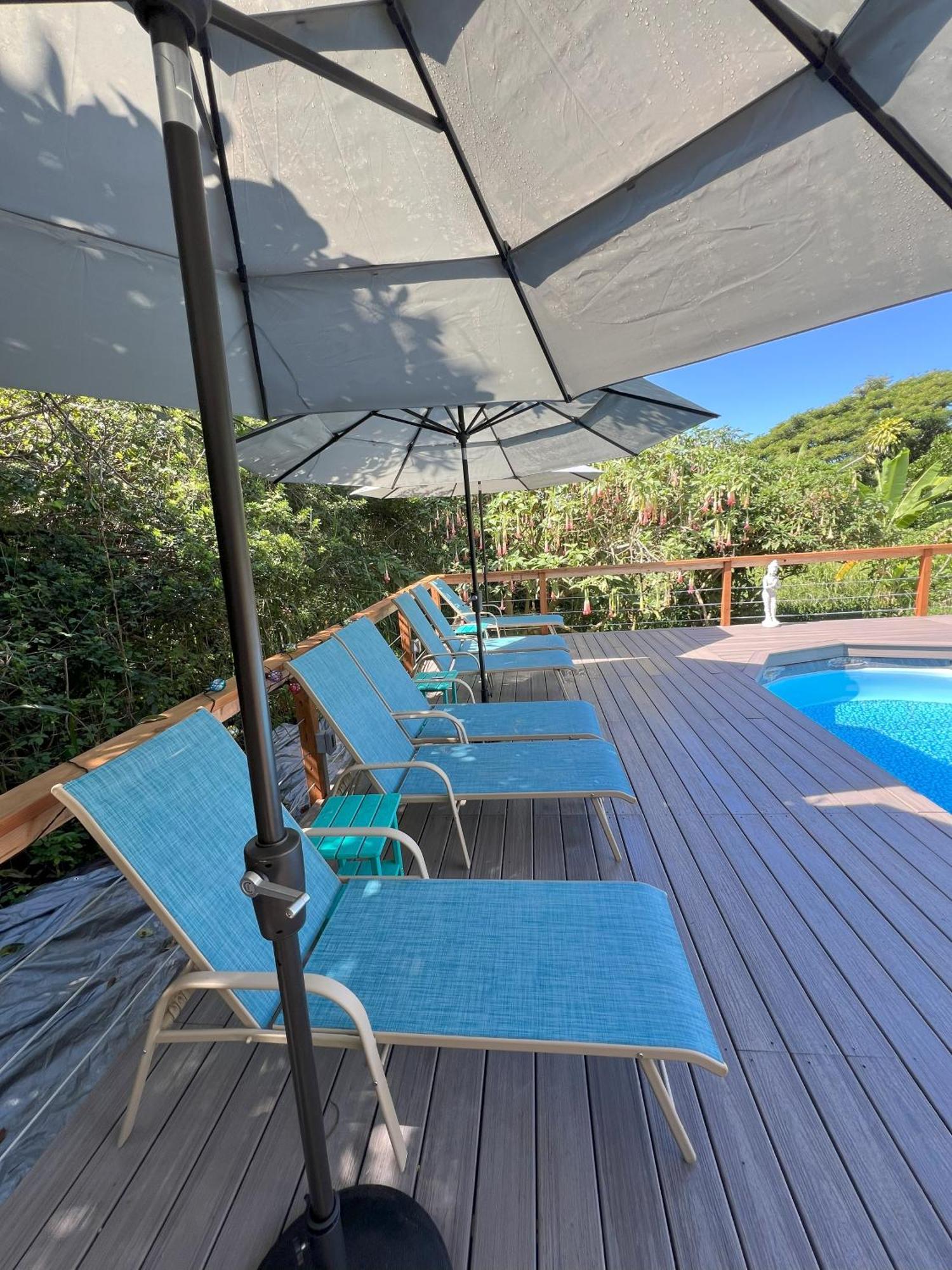 Cozy Jungle Boat Hideaway With Stunning Ocean View Villa Kealakekua Екстериор снимка